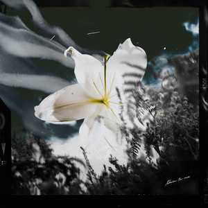 赵楚峰BackToBand - 隐士