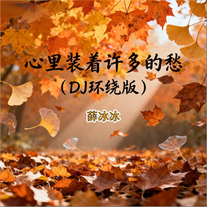 心里装着许多的愁 (DJ环绕版)