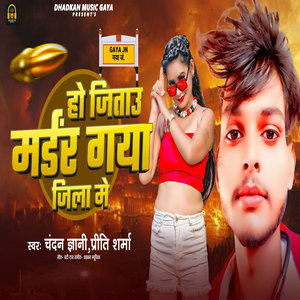 Ho Jitau Marder Gaya Jila Me