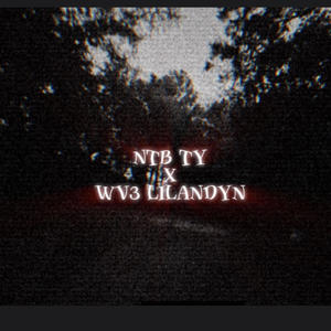 WOW! ! ! (feat. Wv3 LiLandyn) (Explicit)