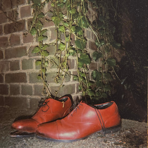 Something so stupid as loving you