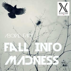 Fall Into Madness (Original Mix)