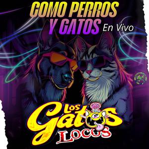 Como Perros y Gatos (en Vivo) (En vivo) (Explicit)