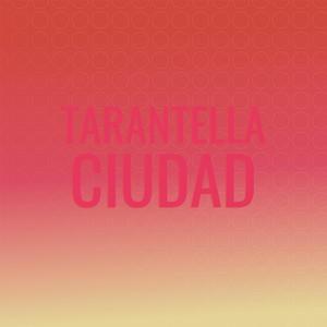 Magnetomotor Unspirit