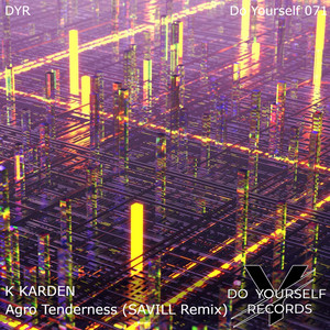 Agro Tenderness (SAVILL Remix)