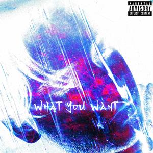 What You Want (feat. Tredaay) (Explicit)