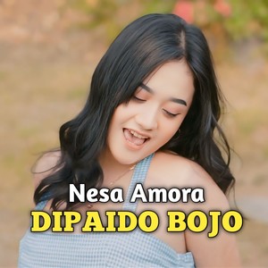 Dipaido Bojo