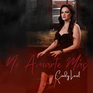 No Amarte Más