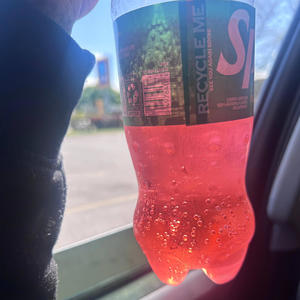 FREE DA CAMP (feat. LilGio, Fastlanelilkas & ROE LILKAY) (Explicit)