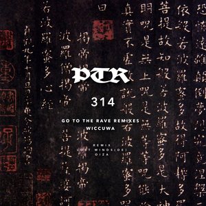 Go To The Rave Remixes (Lost Minds|DE|Remix)