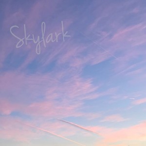 Skylark