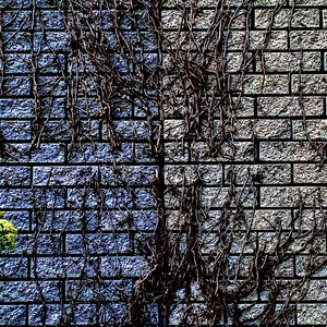 *** I'm DONE (Explicit)