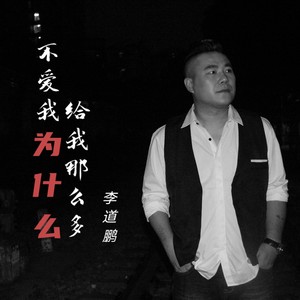 不爱我为什么给我那么多 (DJ版)