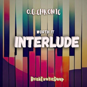 WORTH IT (INTERLUDE) (feat. BriskExoticDeep)