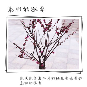 泰州的温柔