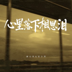 心里落下相思泪封面