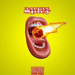 Talkin Spicy (feat. Ani Mac) [Explicit]