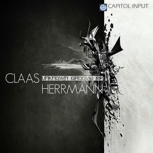 Unknown Groove (Original Mix)