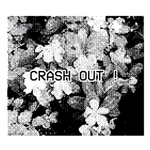 CRASH OUT !