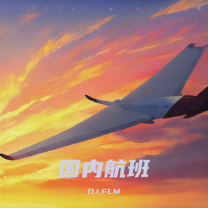 国内航班 (DJ.FLM remix)