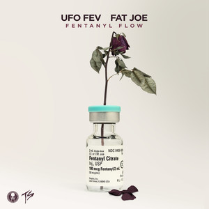 Fentanyl Flow(feat. Fat Joe) (Radio Edit)