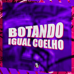 Botando Igual Coelho (Explicit)