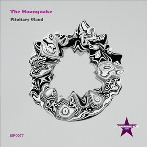 Pituitary Gland (Original Mix)