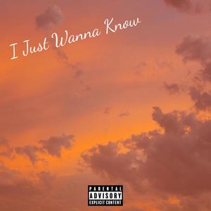 I Just Wanna Know (Explicit)