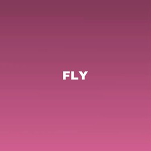 Fly