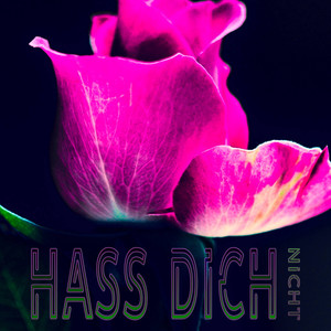 Hass dich nicht (Explicit)