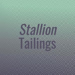 Stallion Tailings