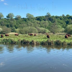 saving daylight? (Explicit)