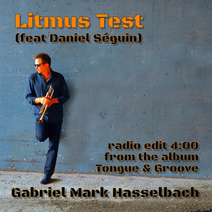 Litmus Test (Radio Edit)