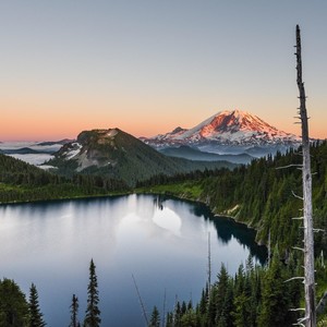 要我怎么忘了他