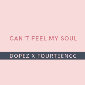The Weeknd-Can't Feel My Face（DopeZu0026FourteenCCMashup） (DopeZ / FourteenCC remix)