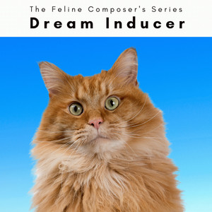 2022 Cat: Dream Inducer