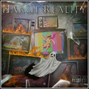 Harsh Reality (feat. Dee 3k) (Explicit)