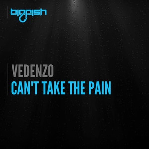 Can't Take The Pain (Original Mix)