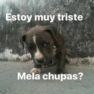 Magia(feat. Waldo)