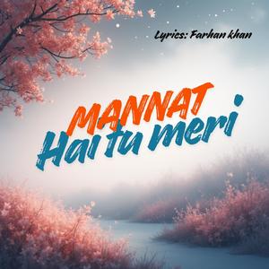 Mannat Hai Tu Meri