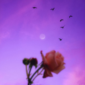 Afternoon Melancholic