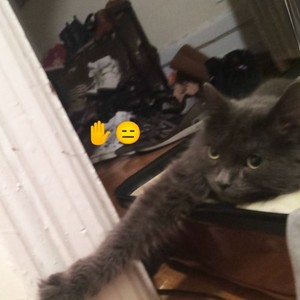 太陽の子-Taisei zzz