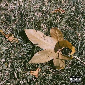 can't plz em all (Explicit)