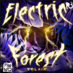 Electric Forest