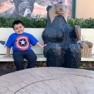 Francisco M Federico - Faults and lines