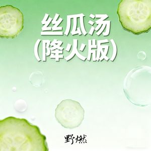 丝瓜汤-野燃