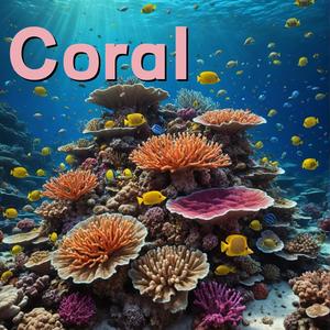 Coral