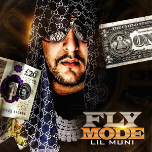 Fly Mode (Explicit)