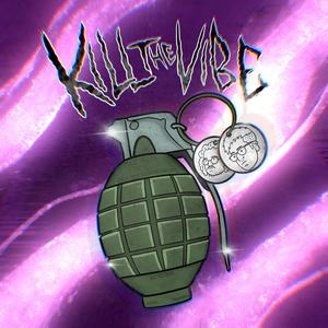 Kill The Vibe (feat. Gingi Skunk) (Explicit)