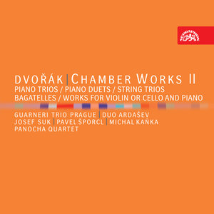 Dvořák: Chamber Works II